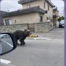 국민농장 2 이미지