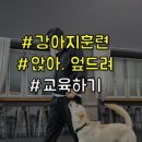 송정동물의료센터 이미지