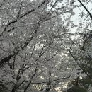 멍멍 앤 야옹 | 19개월 끝자락 기록 ✍🏻💭