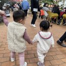 뮌스터담 이미지