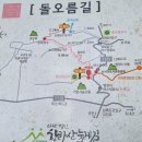 제 117차 제주 둘레길 정기산행 안내 이미지