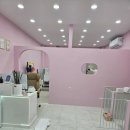 제이 애견 미용 이미지