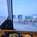 대만 여행 4박5일 1일차, 리젠트호텔 브라서리 뷔페 후기, 대만 대표과일 석가 맛없어!!!!