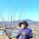 황산농장 이미지