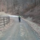 백야리산림욕장 이미지