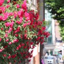 안양6동-1 이미지