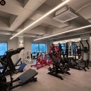 네스트짐 헬스피티 이미지