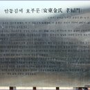 안동김씨 효부각 이미지