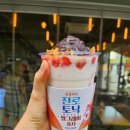 원인1인컵
