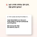 [대교 내일의학습 후기] 영어유치원 다니는 손녀와 프리토킹하는 할머니의 학습 비결은?