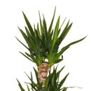 (주)반짝반짝 이미지