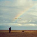 댕스라지 이미지