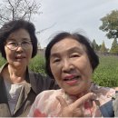 인간의 대지-비행 이미지