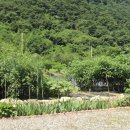 월악산황토펜션 이미지