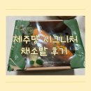 채소밭 | 제주 애월 새별오름 베이커리카페 제주당 시그니처 세트 채소밭 빵 후기