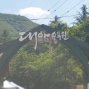 대아전기조명 이미지