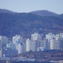 신한자산신탁 주식회사 티스토리