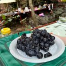 용지동힐링펜션 이미지