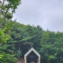차곡리 | [내돈내산]수레의산자연휴양림 2인실, 여름 성수기에 대기 걸었다가 저렴하게 묵은 후기