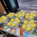 록스테이 이미지