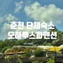하니스파펜션 | 춘천 오하루스파펜션 단체방 후기 (수영장O, 강촌역 픽업가능)