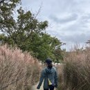 미리내공원 | 합천 황매산 억새축제 :: 산청황매산미리내파크오토캠핑장 등산코스 주차 기간