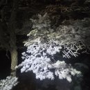 도래기재 이미지