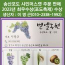 벧엘농원 네이버블로그