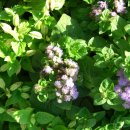 건물 앞 삼거리 이미지