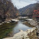 오대산 산채정식 이미지