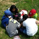 소안초등학교 이미지