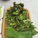 기장향어 | 부산 기장 교리 기장향어 내돈내산 후기
