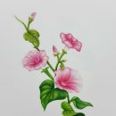 힐링 꽃과 식물 세밀화 이미지