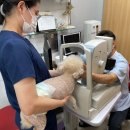 완도동물병원 이미지