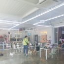 꼬리살랑 이미지