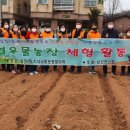 진행농장 이미지