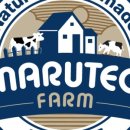 마루터목장 이미지