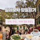 비추라 | 스페인 마요르카 발데모사 주차 정보 총정리｜당일치기 동선·타파스·카페 후기