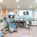 양이비인후과의원 이미지