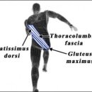 더바른핏 이미지