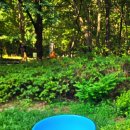 수리산 산림욕장 이미지