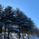 강원도 횡성군 횡성읍 읍상서로 | [강원 | 횡성] 한겨울의 냄새, 태기산의 설경 그리고 횡성 한우