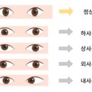 성모안경원 이미지