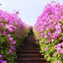 아영면 일대마을 이미지