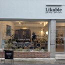 뿌리네 애견샵 | 대전 성심당 소품샵 라이커블 Likable 주차