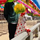 영우농장3 이미지