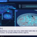 신성미궁 이미지