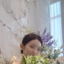 제이스케이트