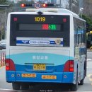 상남동213 이미지