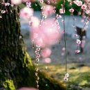 좋은인연 이미지